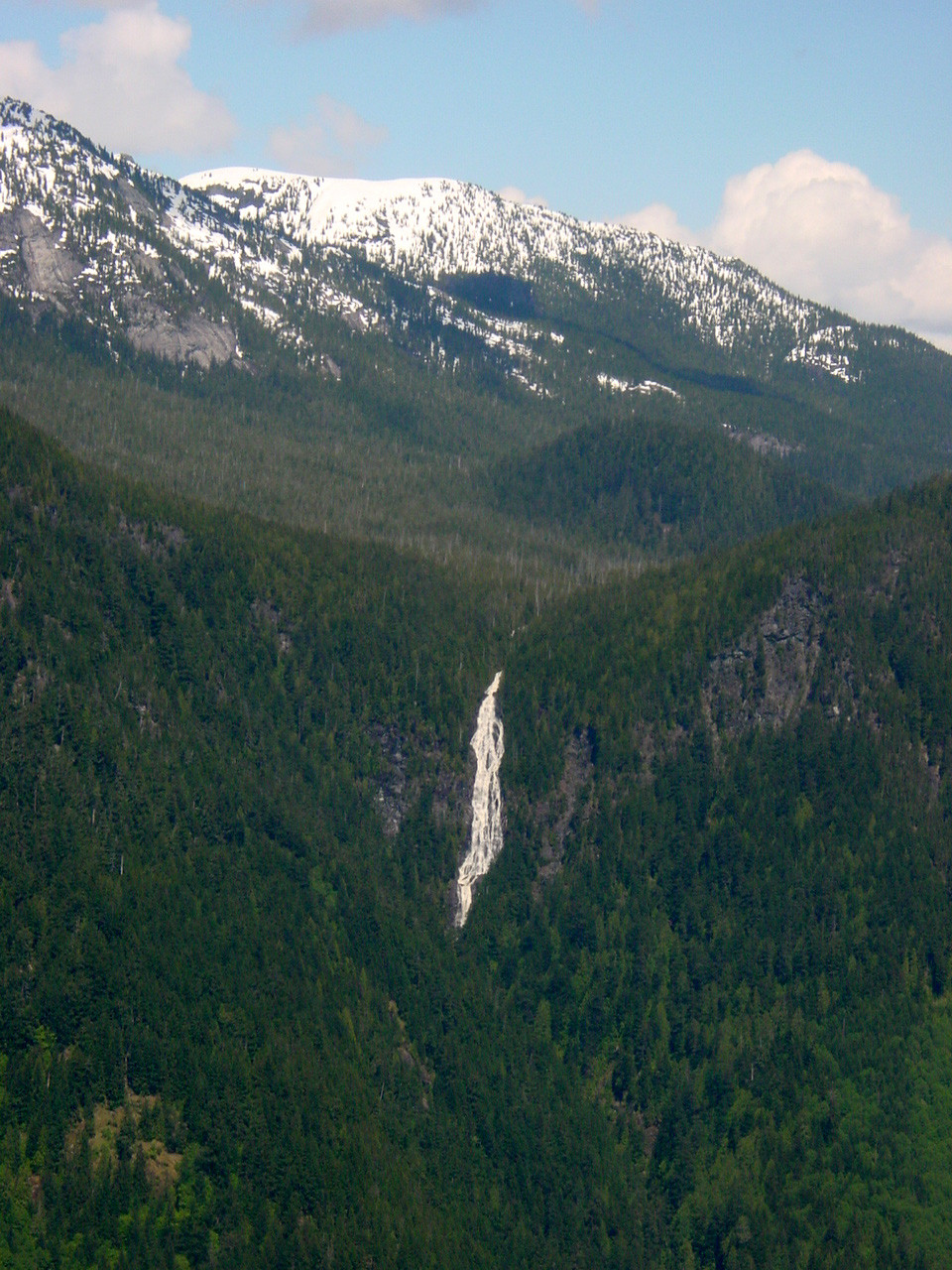 084.jpg