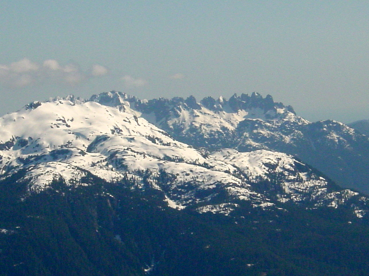 164.jpg