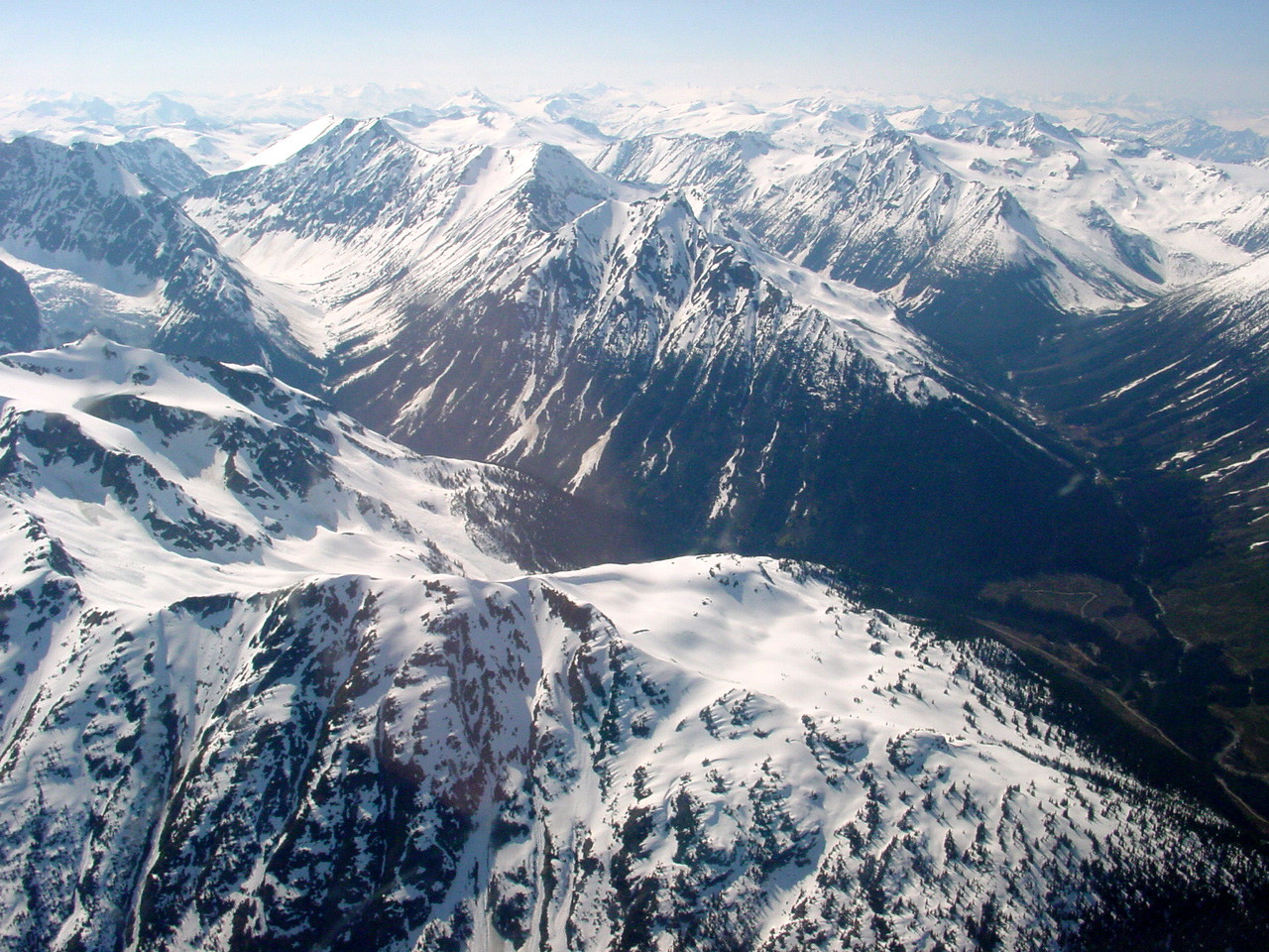186.jpg