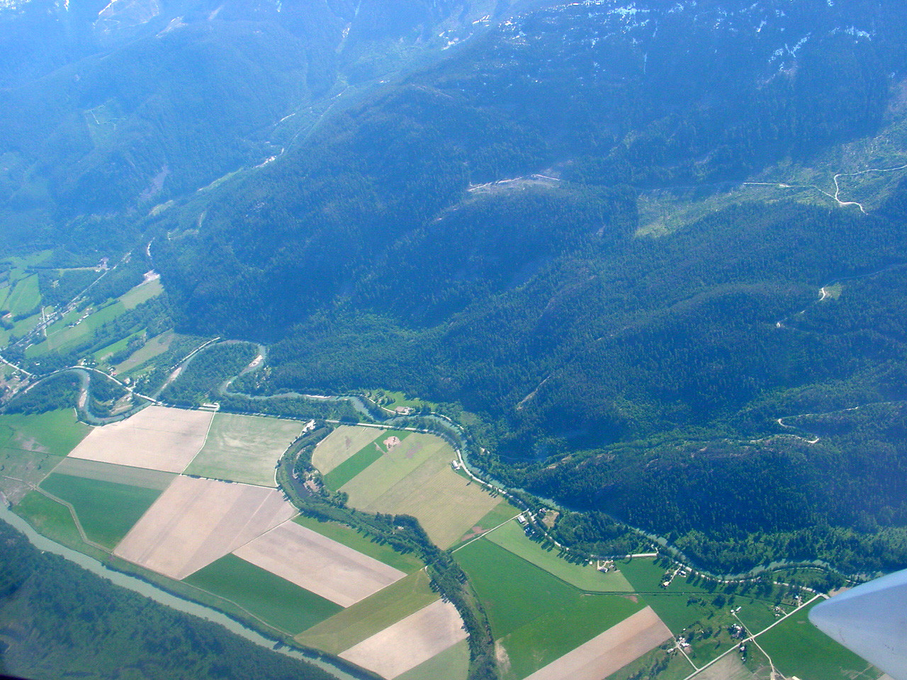 196.jpg