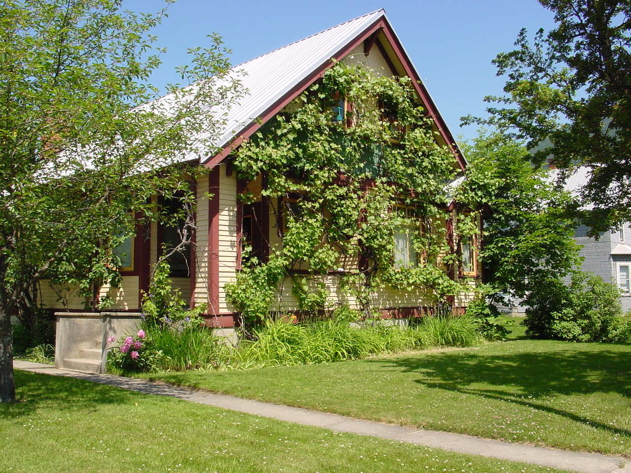 118.jpg
