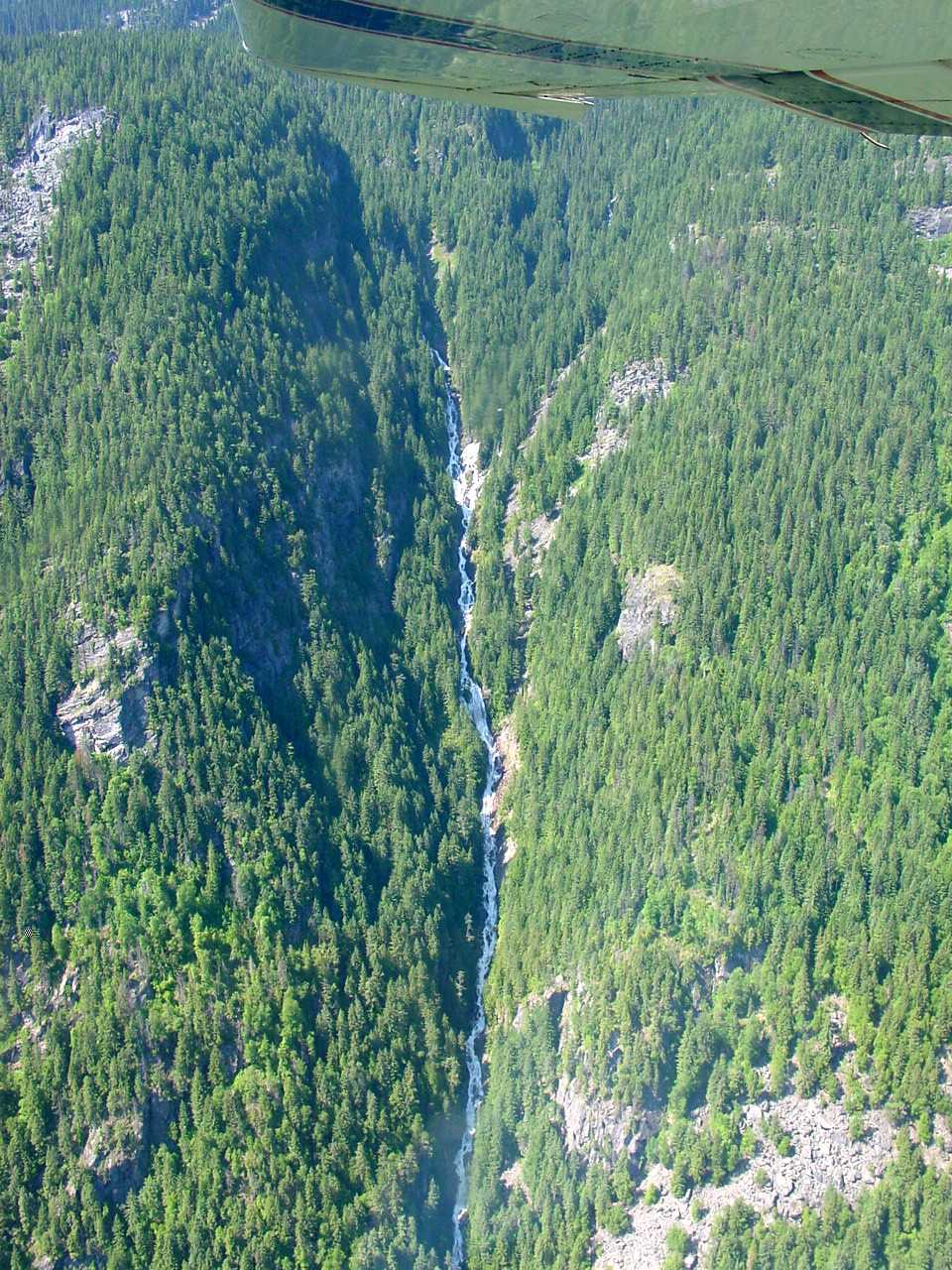 184.jpg