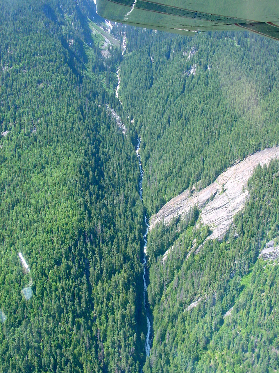185.jpg