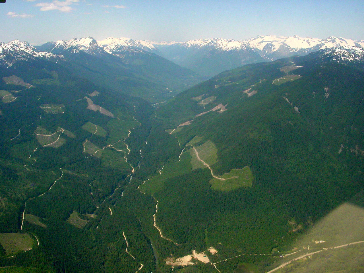 197.jpg