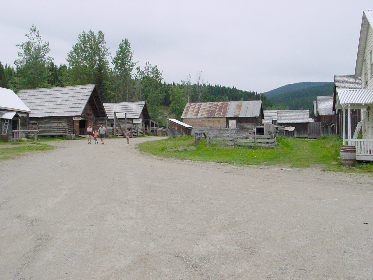 196.jpg