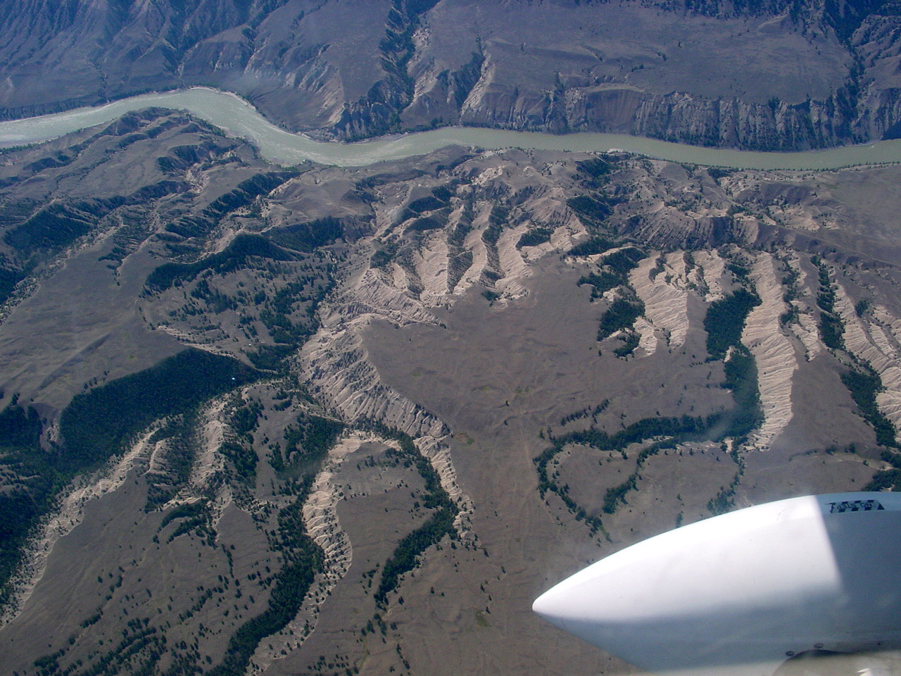 161.jpg