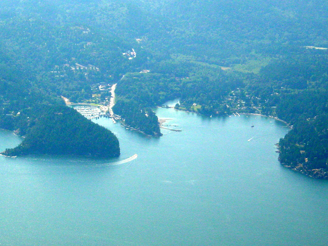 254.jpg