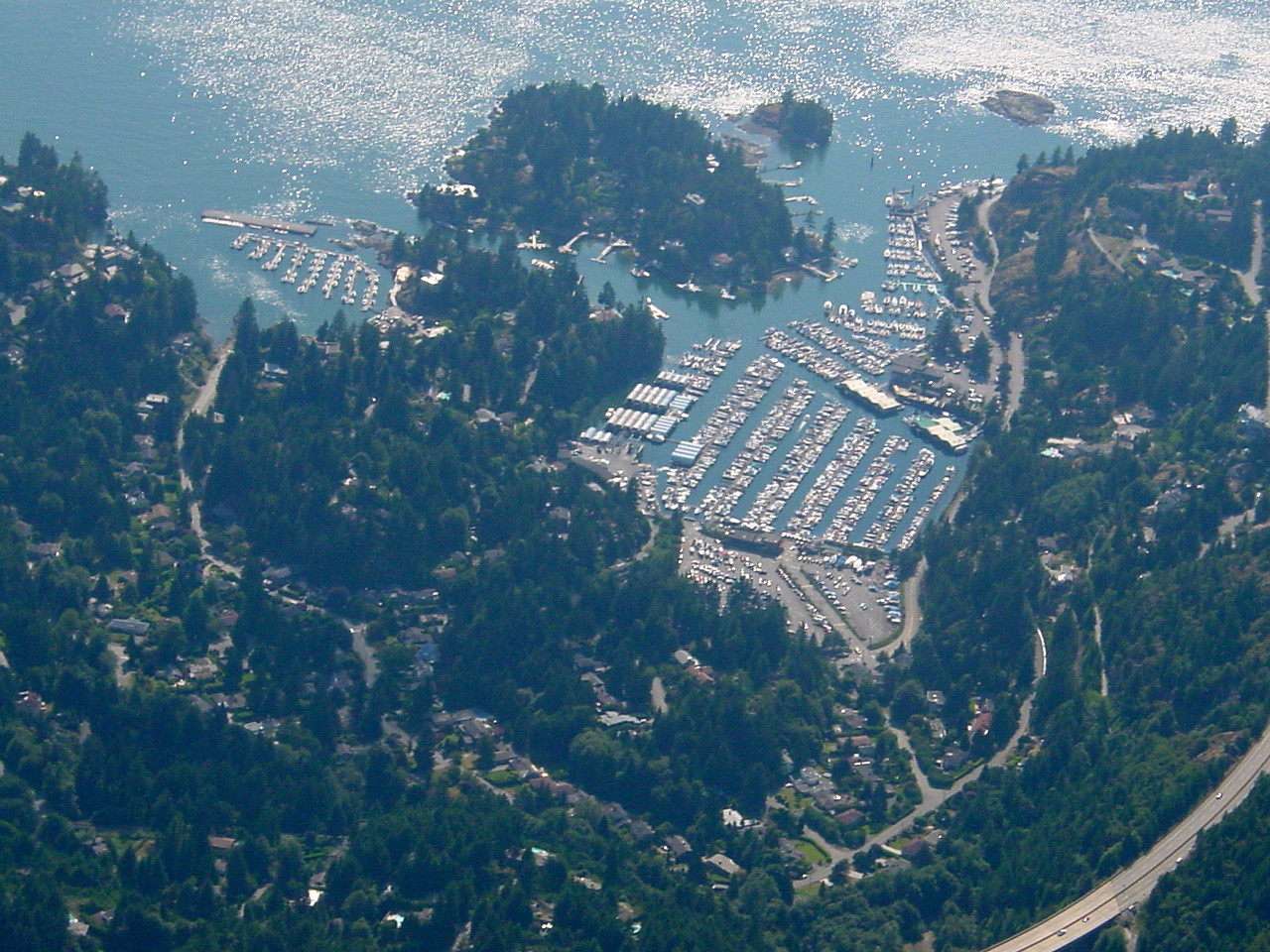 255.jpg