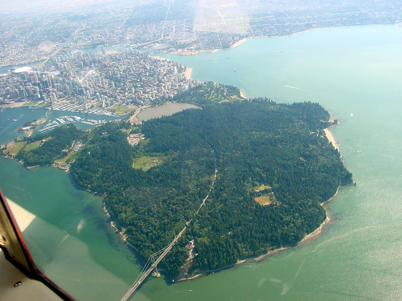 256.jpg
