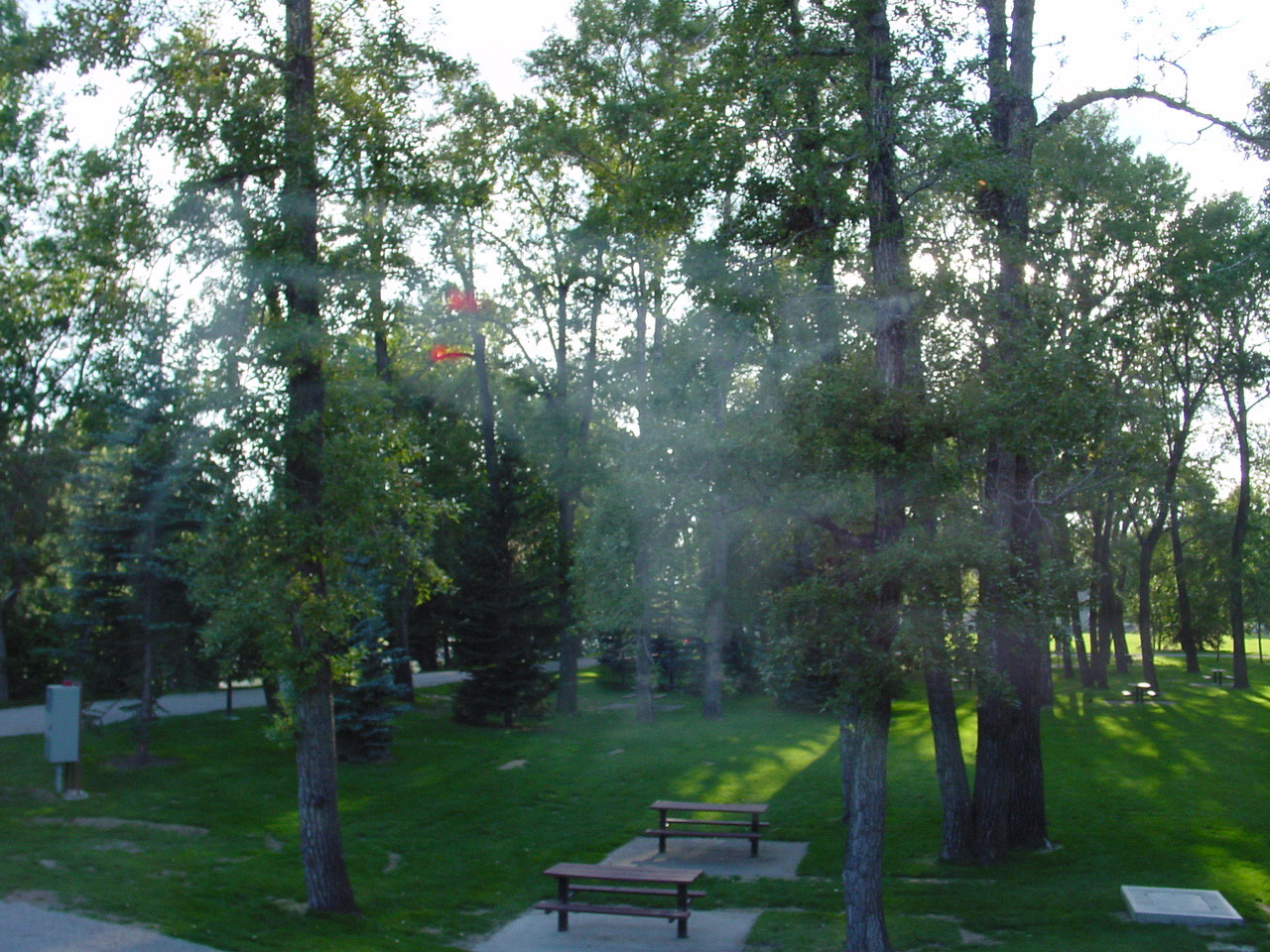 160.jpg