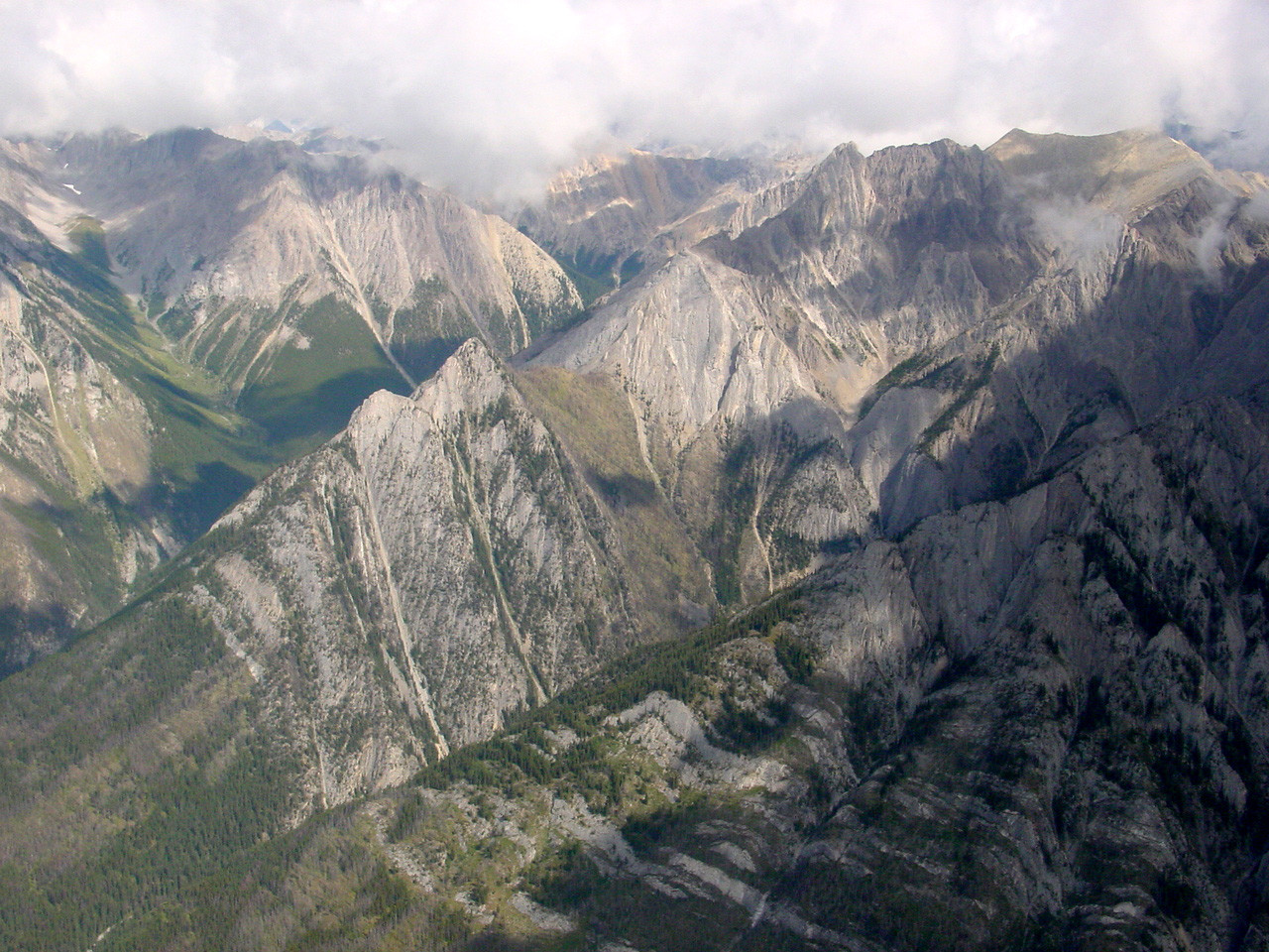 193.jpg