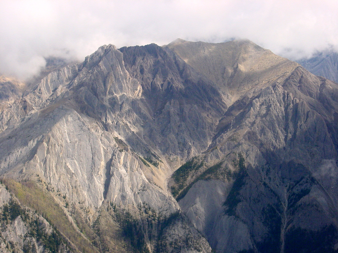 194.jpg