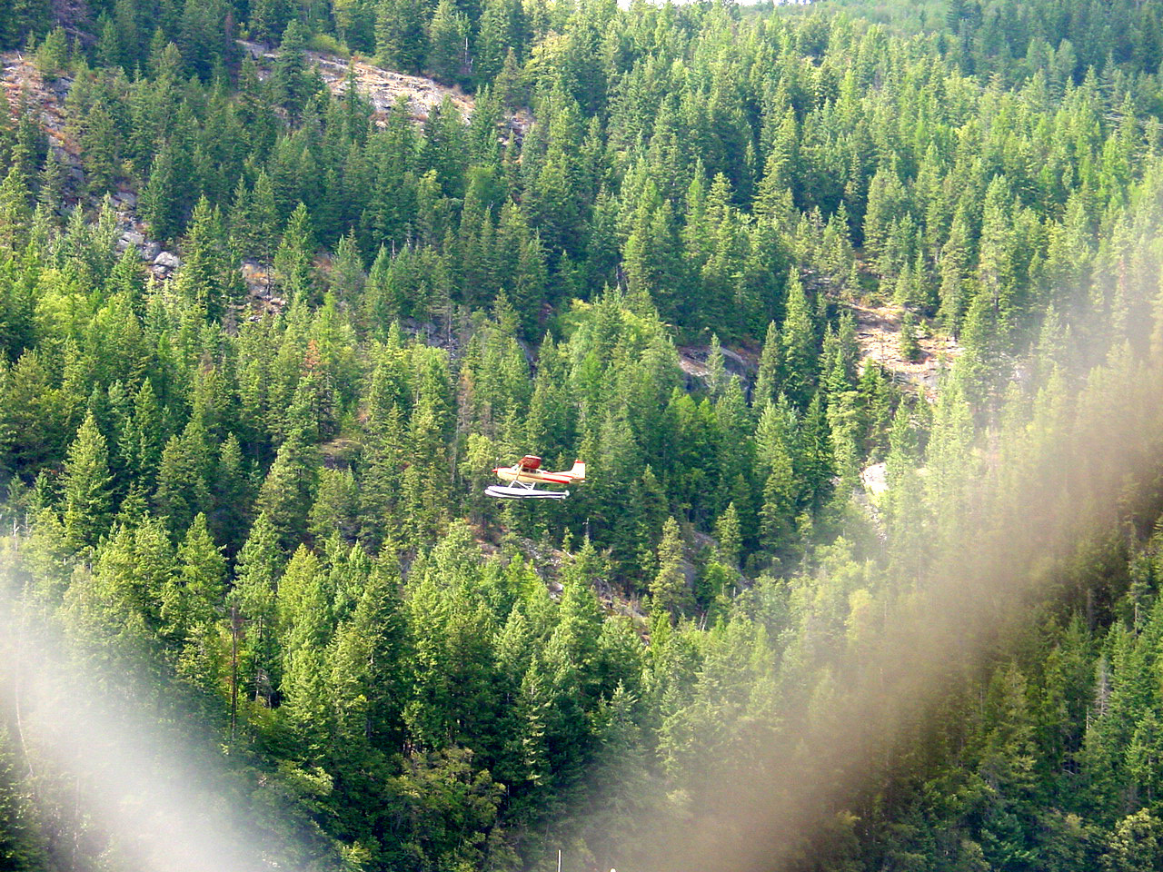 270.jpg
