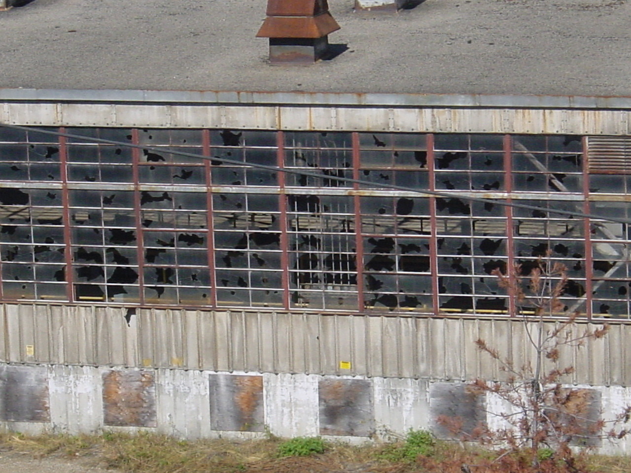 281.jpg