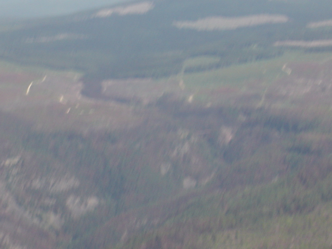 040.jpg