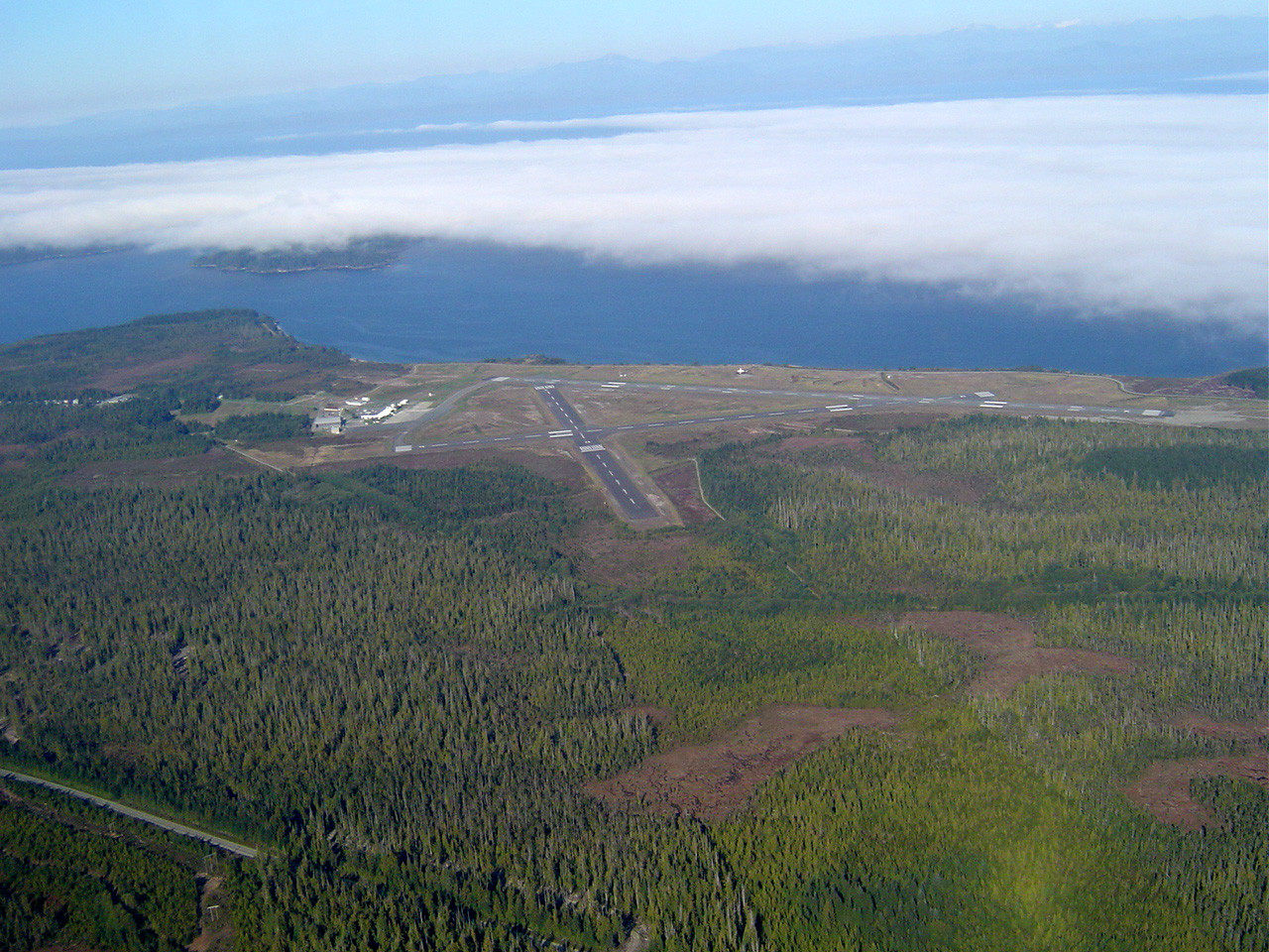 175.jpg