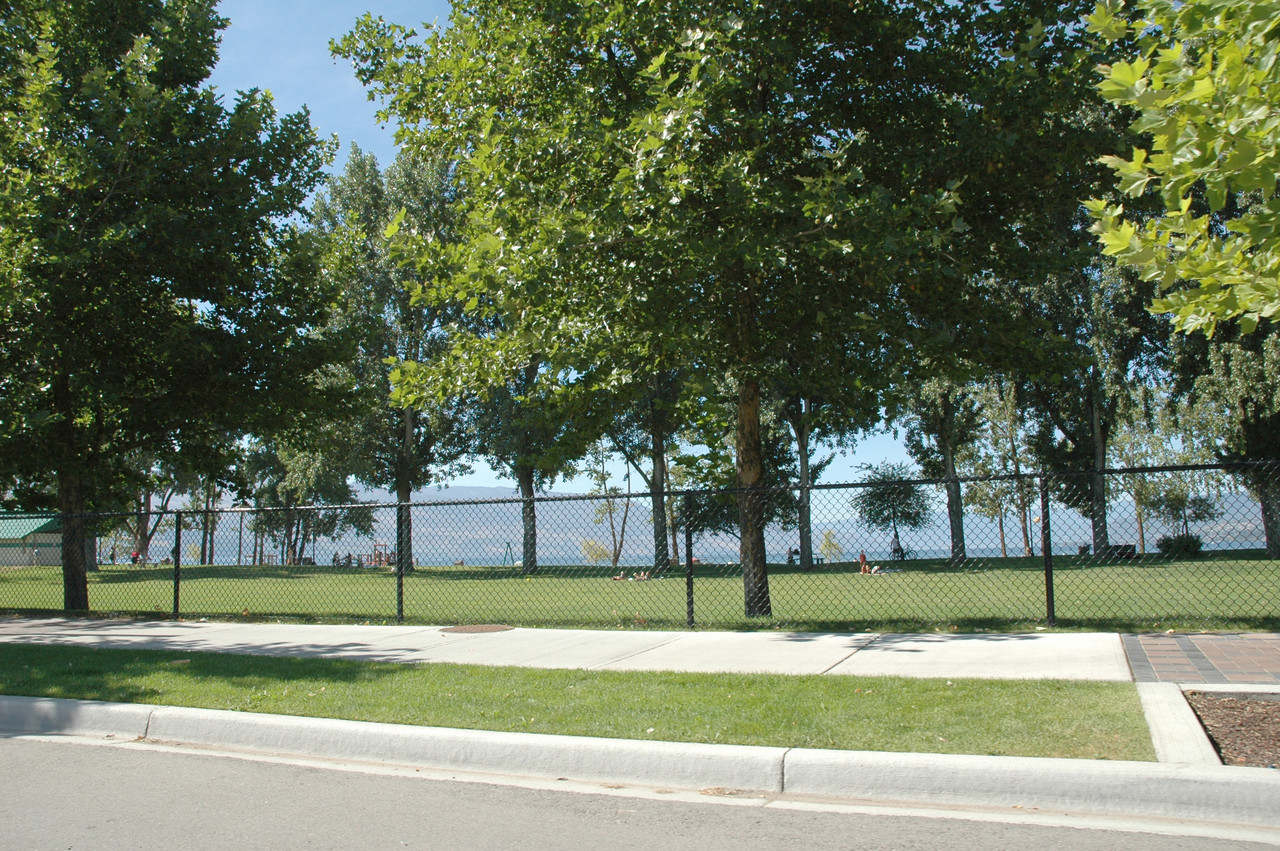 114.jpg
