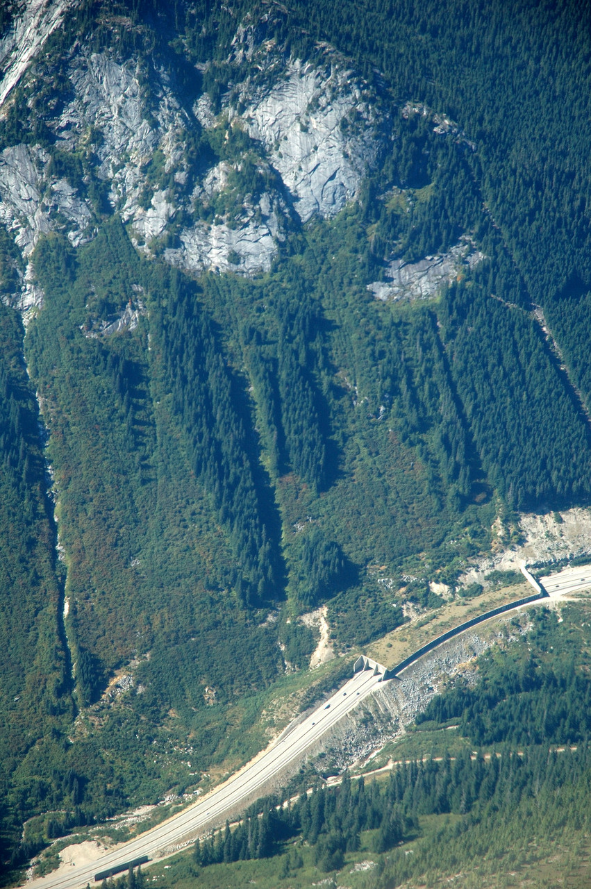 470.jpg