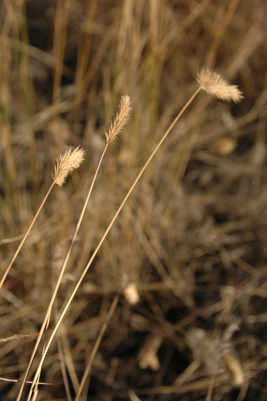 105.jpg