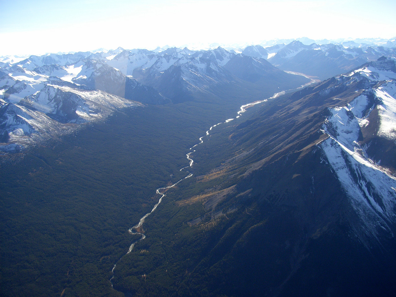 RIMG0146.jpg