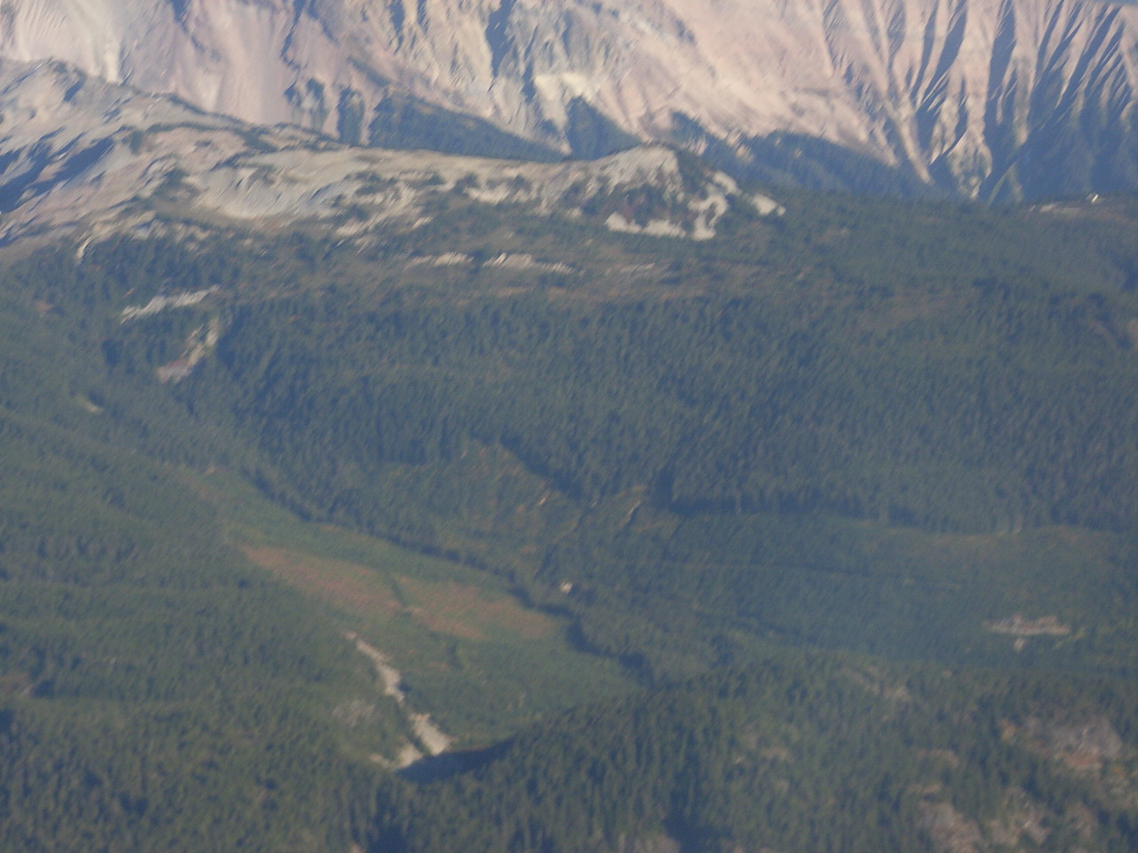 RIMG0212.jpg