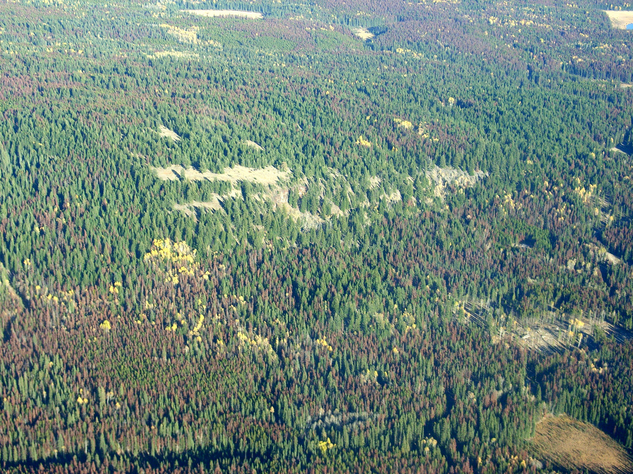 135.jpg