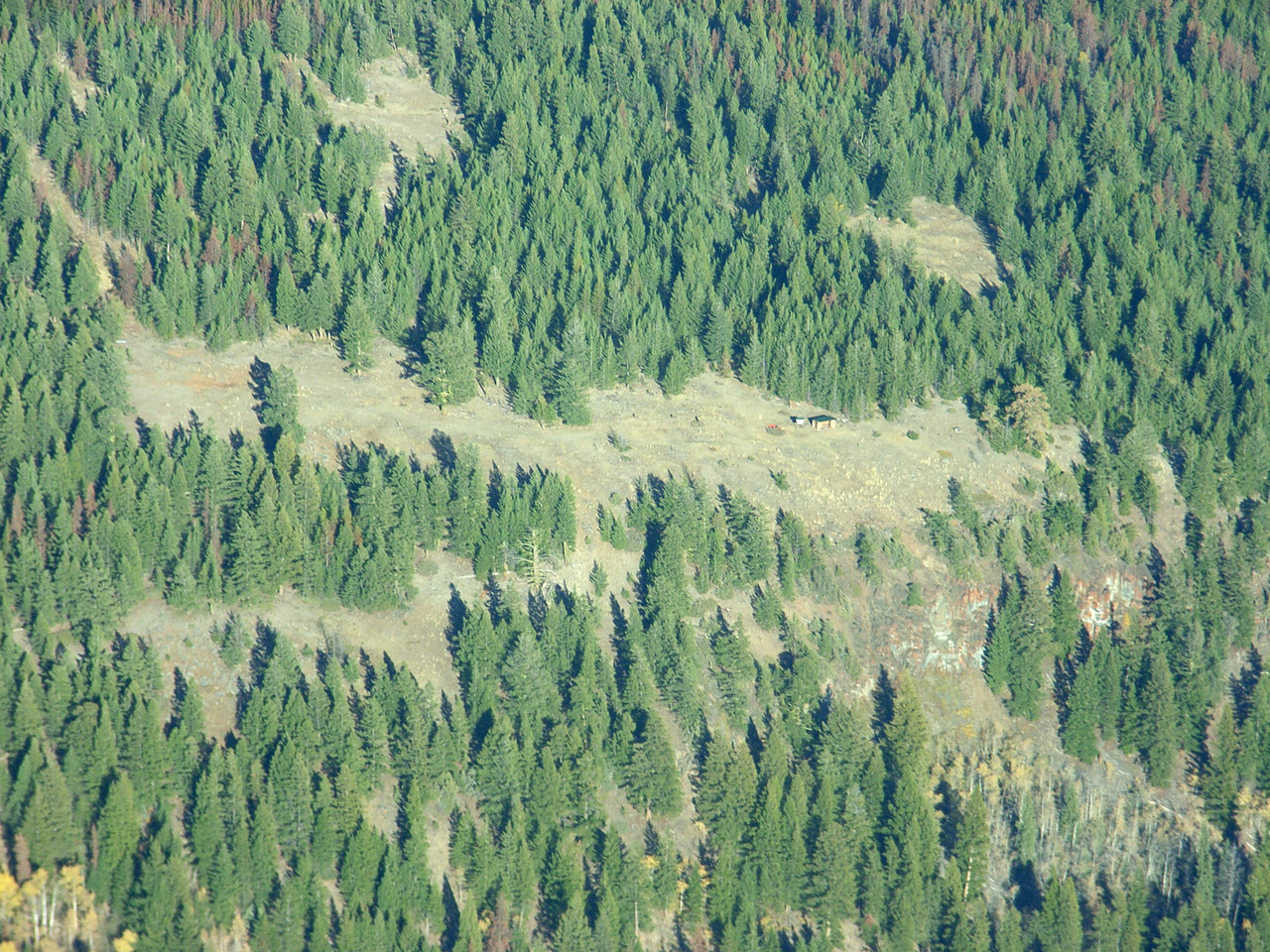 136.jpg