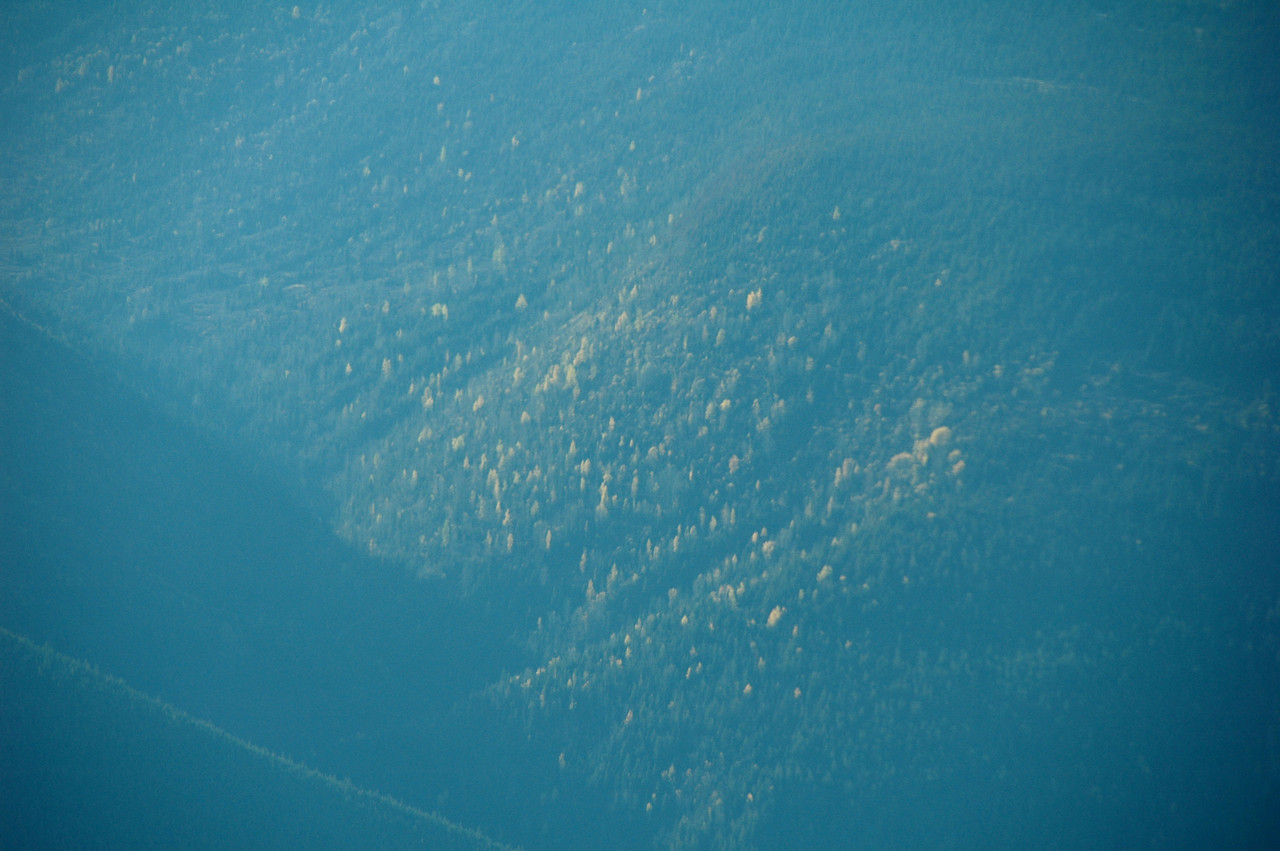 145.jpg