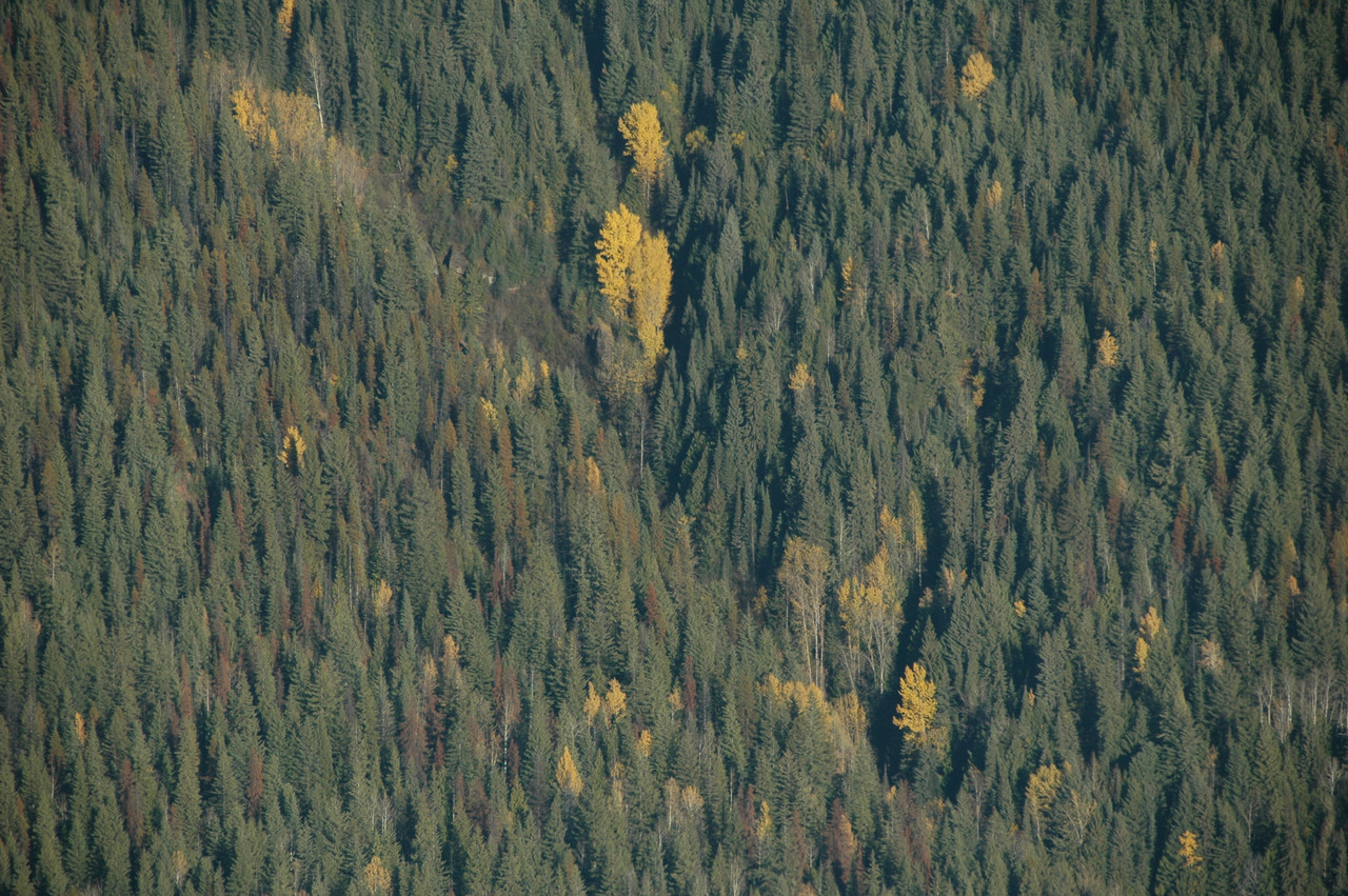 155.jpg