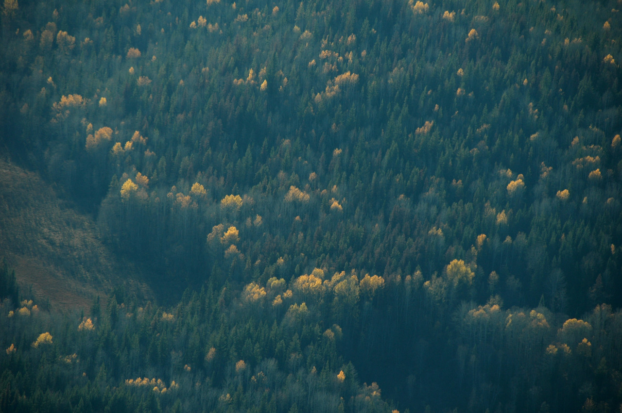 163.jpg
